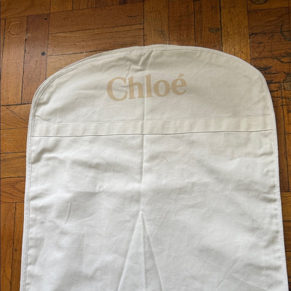 Chloe Elegant Cream Dress bag - Picture 2 of 9